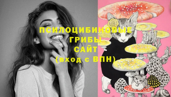 хмурый Остров