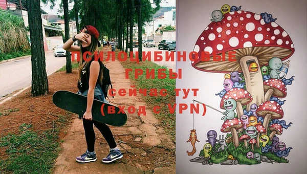 амфетамин Болотное
