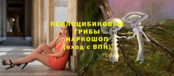 не бодяженный Осинники