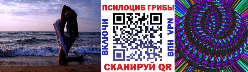 Псилоцибиновые грибы GOLDEN TEACHER  где продают   Сорочинск 